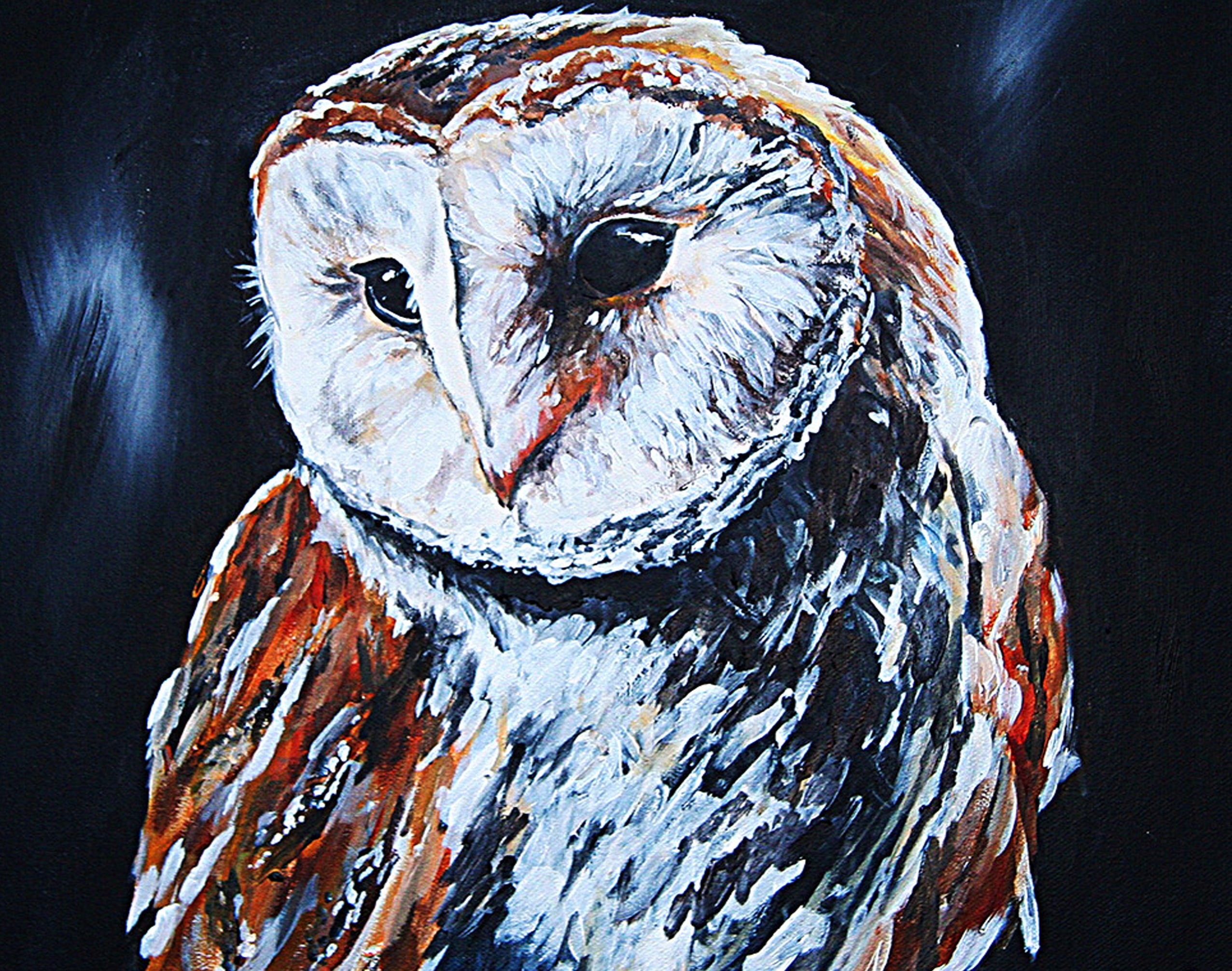 Rebeccamorris Art - Barn Owl