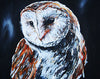 Rebeccamorris Art - Barn Owl