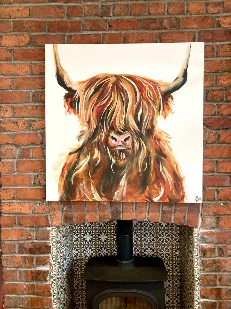 Highland Cow