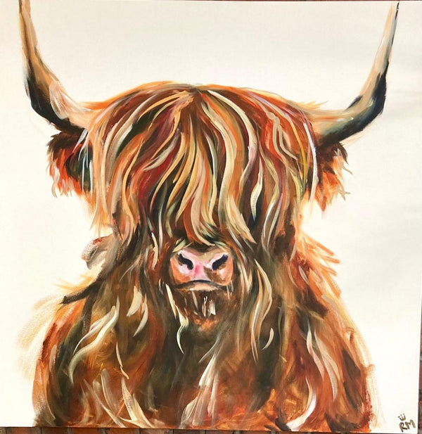 Highland Cow
