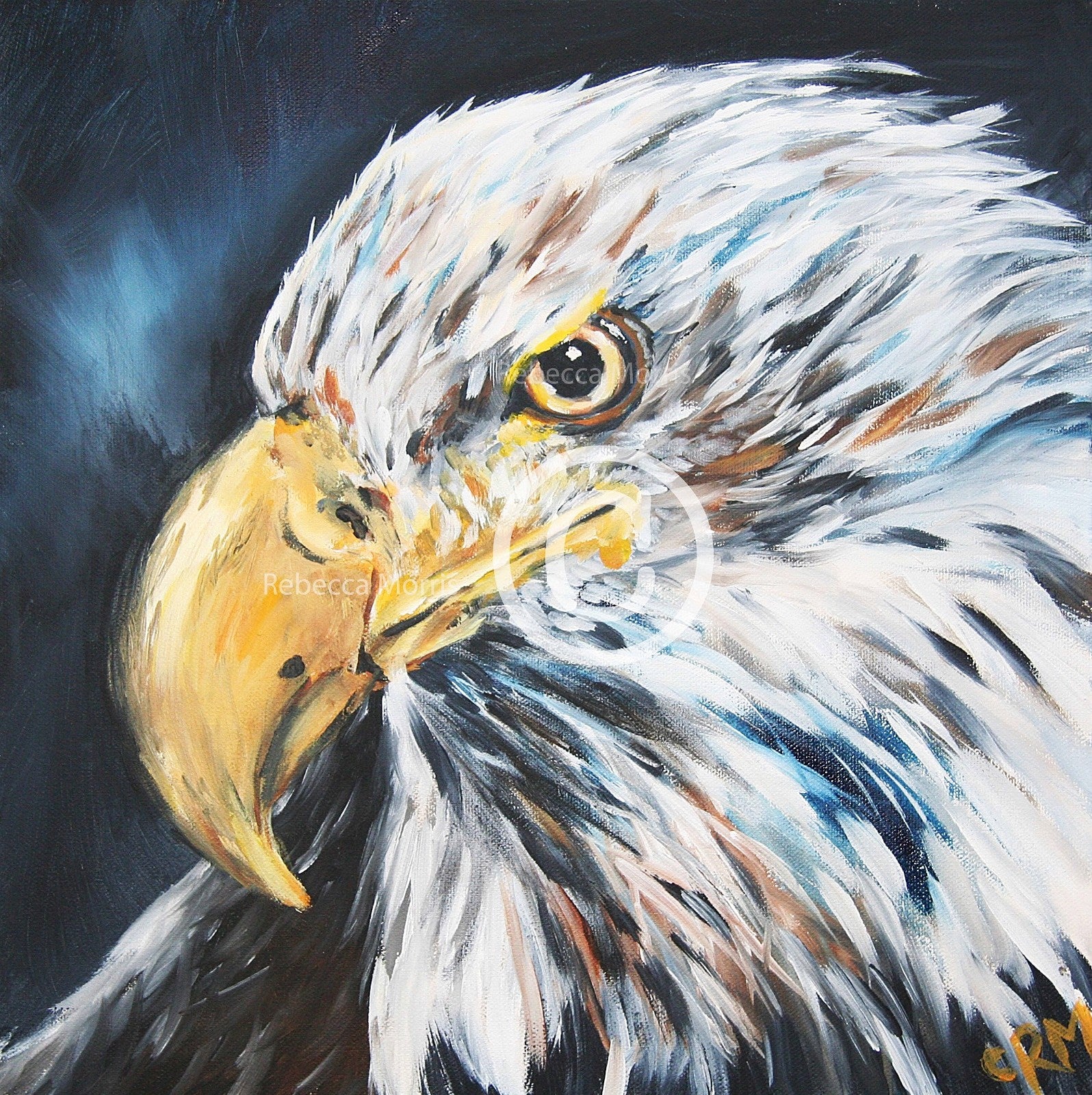 RebeccaMorris Art - Eagle Face
