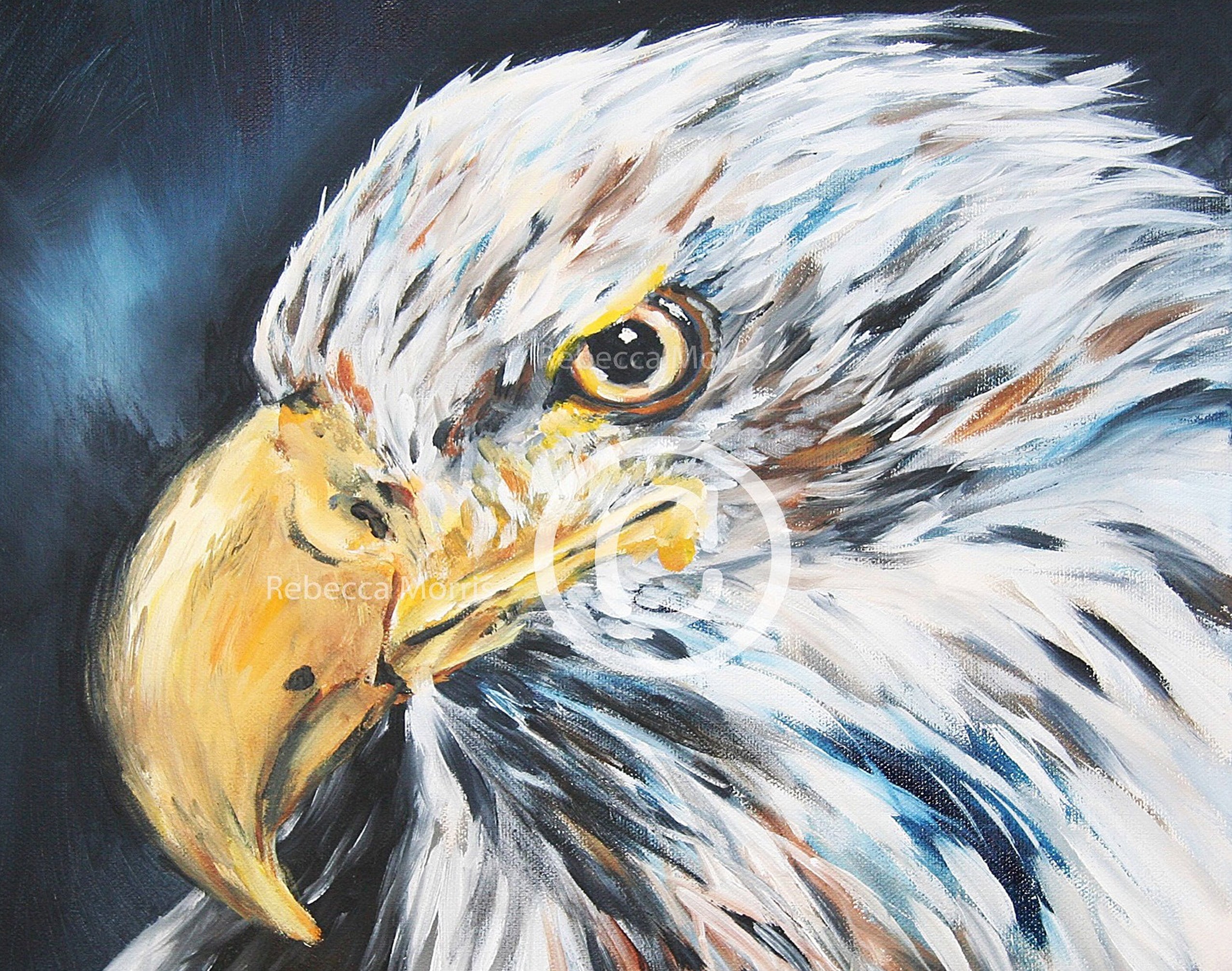RebeccaMorris Art - Eagle Face