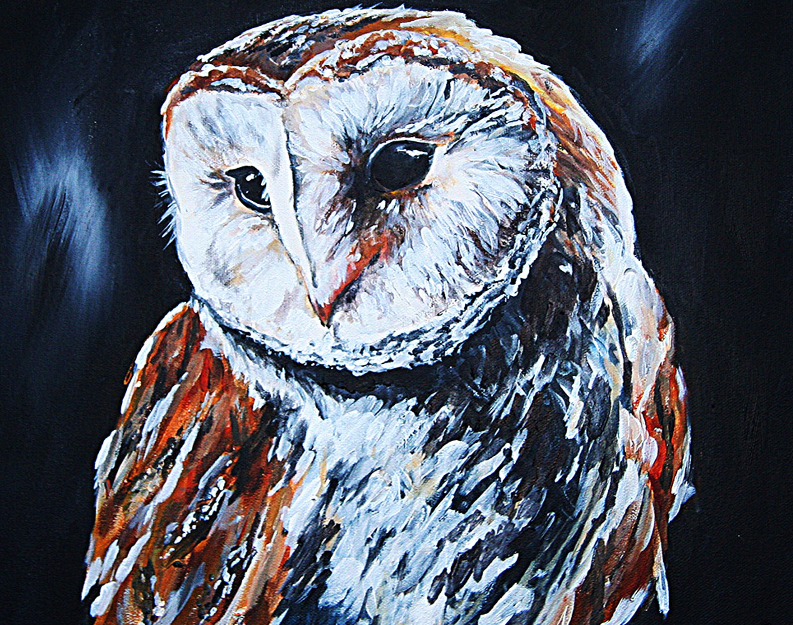 Rebeccamorris Art - Barn Owl